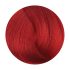 Fanola Color Hajfesték 100ml Red Booster R.66