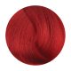 Fanola Color Hajfesték 100ml Red Booster R.66