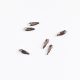 BrillBird Műköröm Formakövek (10db-os) drop 2x6mm clear