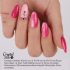 Crystal Nails köröm matrica (F610) színpompás mező