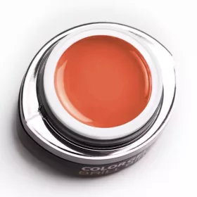 BrillBird Brush&Go színes zselé - GO 126 - 4,5ml TF