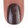 BrillBird Color gél lakk C17 - 5ml