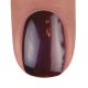 BrillBird Color gél lakk C36 - 15ml