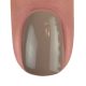 BrillBird Color gél lakk C58 - 15ml