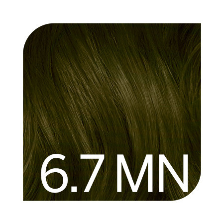 Revlonissimo Colorsmetique hajfesték 60ml - 6.7MN