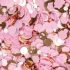 MN Glitter 5 - pink
