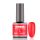 BrillBird Rubber Gel Base&Color - 11 - 8ml