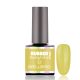 BrillBird Rubber Gel Base&Color - 12 - 8ml