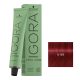Schwarzkopf Igora Zero Amm ammóniamentes krémhajfesték 60 ml - 5-88