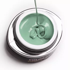 BrillBird Brush&Go színes zselé - GO 132 - 4,5ml TF