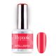 BrillBird TPO FREE Hypnotic HEMA Free Gel&Lac 8 ml 255