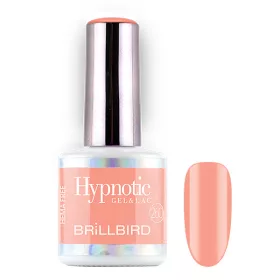   BrillBird TPO FREE Hypnotic HEMA Free Gel&Lac Lumina 4 ml 260