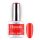 BrillBird TPO FREE Hypnotic HEMA Free Gel&Lac 4ml 108