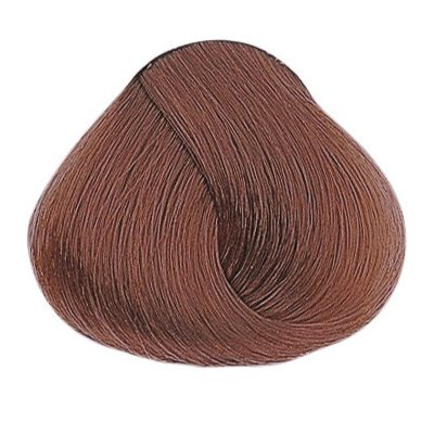 Evolution of the Color - Leonardo